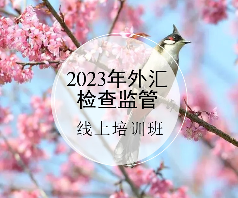 2023年外汇检查监管培训班(5月)